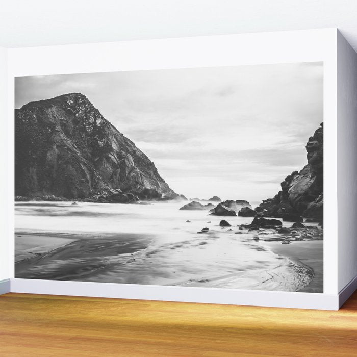 Big Sur Black and White Wall Mural Gallery Image 2
