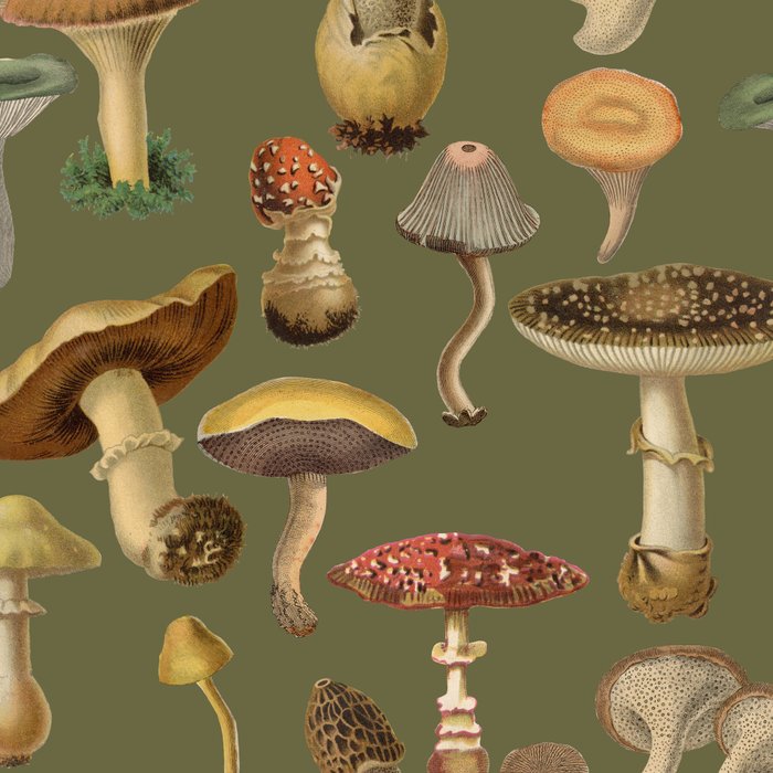 Forest Mushroom Goblincore Aesthetic Pattern - Lichen Green  Coffee Mug Gallery Image 2