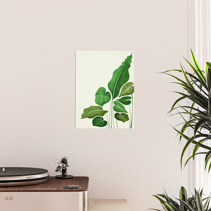 Cacophony Plant Illustration Poster Gallery Image 2