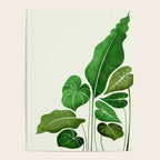 Cacophony Plant Illustration Poster Gallery Image 4