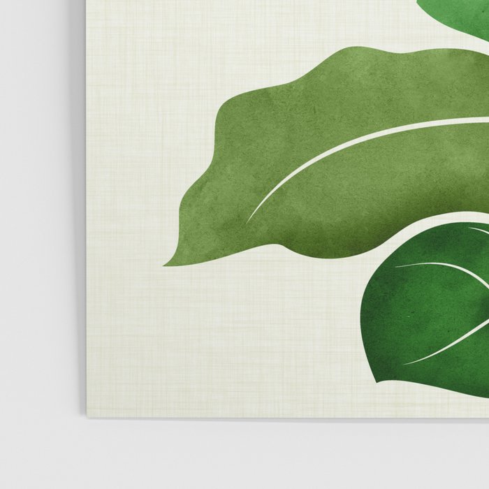 Cacophony Plant Illustration Poster Gallery Image 3