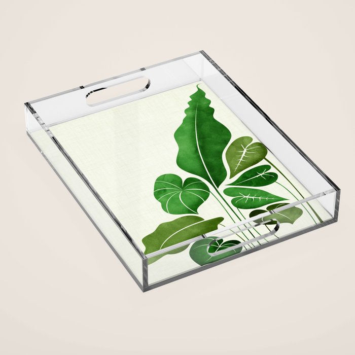Cacophony Plant Illustration Acrylic Tray Gallery Image 1