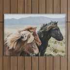 Thingeyrar, Iceland Outdoor Rug Gallery Image 1