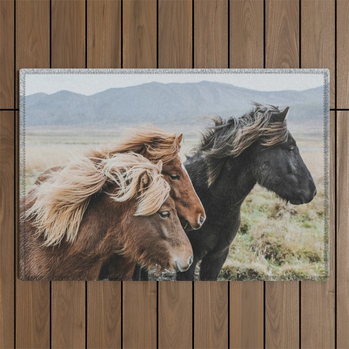 Thingeyrar, Iceland Outdoor Rug Gallery Image 1