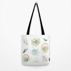 Air Plants Tote Bag Gallery Image 2