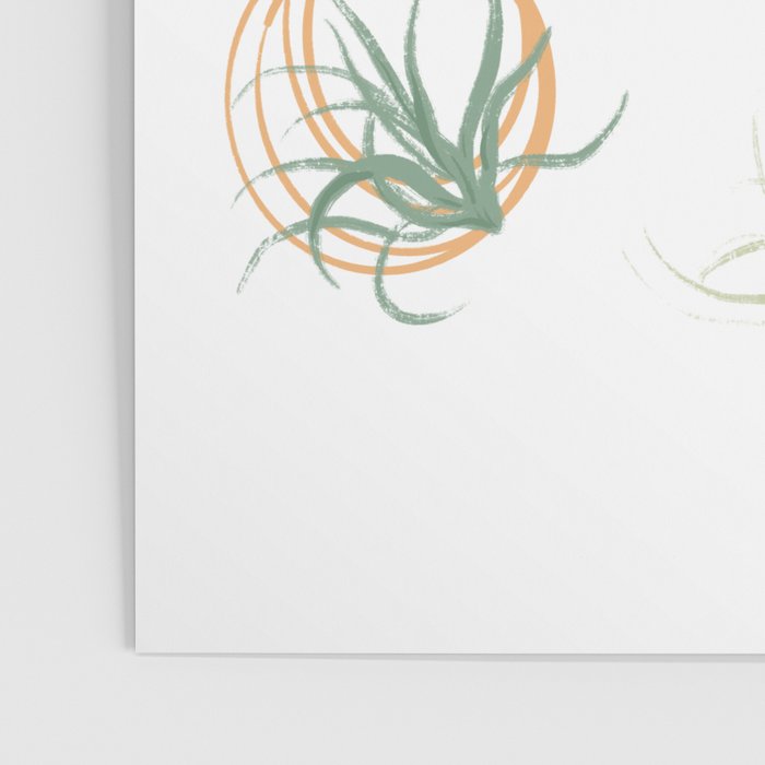 Air Plants Poster Gallery Image 3