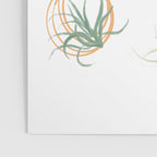 Air Plants Poster Gallery Image 3