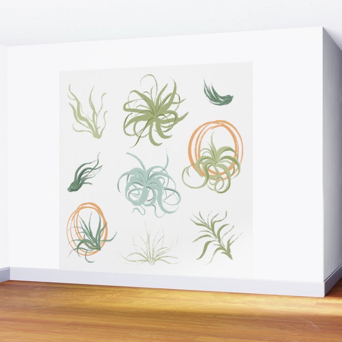 Air Plants Wall Mural Gallery Image 2