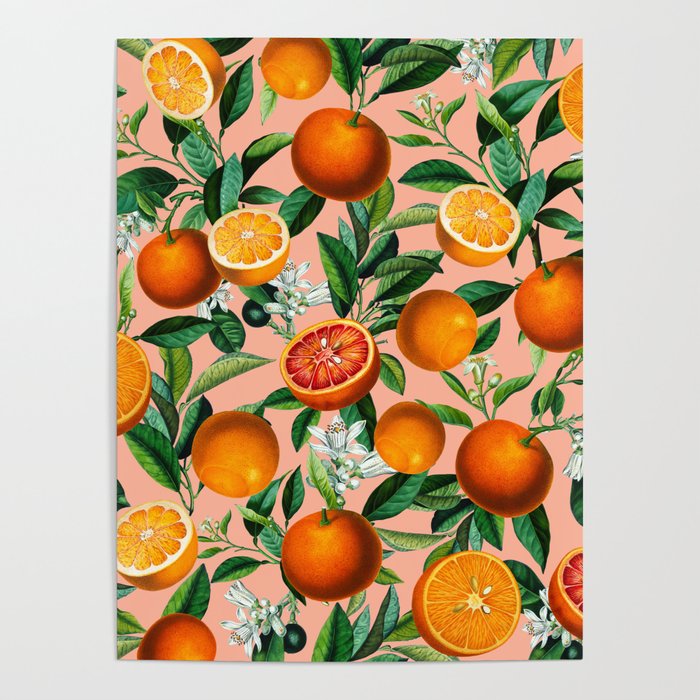 Oranges Pink Vintage Botanical Poster Gallery Image 4