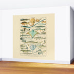 Vintage Fishing Diagram // Poissons II by Adolphe Millot 19th Century Science Textbook Artwork Wall Mural Gallery Image 2