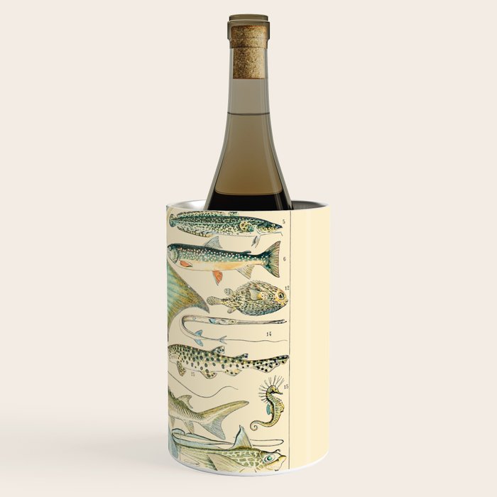 Vintage Fishing Diagram // Poissons II by Adolphe Millot 19th Century Science Textbook Artwork Wine Chiller Gallery Image 3