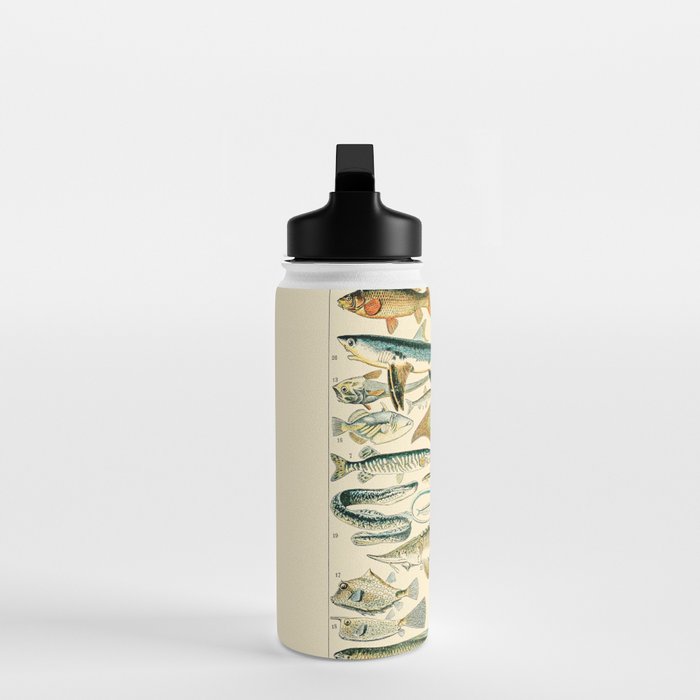 Vintage Fishing Diagram // Poissons II by Adolphe Millot 19th Century Science Textbook Artwork Water Bottle Gallery Image 3