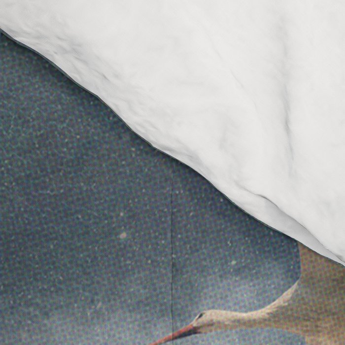 Evenings that I can't Remember Comforter Gallery Image 4