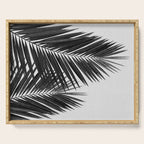 Palm Leaf Black & White II Serving Tray Gallery Image 1
