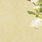 Pear blossoms and white swallow Type A: Minhwa-Korean traditional/folk art Coffee Mug Gallery Image 2