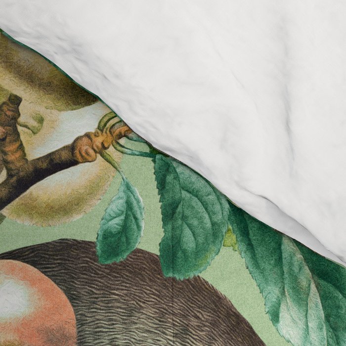 RACCOON AND FRUITS Comforter Gallery Image 4
