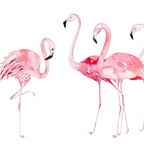 Flamingo Farm- Tropical Animal Bird World Coffee Mug Gallery Image 2