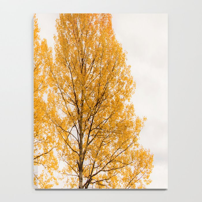 Aspen Trees #decor #society6 #buyart Notebook Gallery Image 4