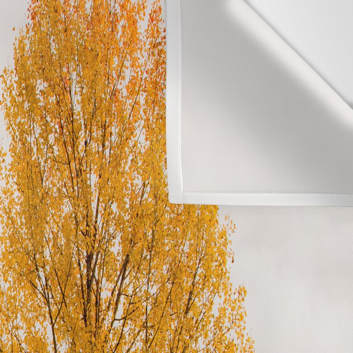 Aspen Trees #decor #society6 #buyart Wall Tapestry Gallery Image 3