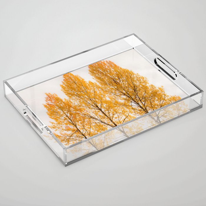 Aspen Trees #decor #society6 #buyart Acrylic Tray Gallery Image 1