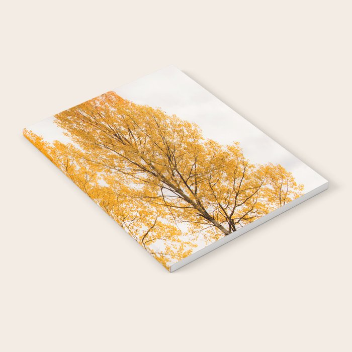 Aspen Trees #decor #society6 #buyart Notebook Gallery Image 2