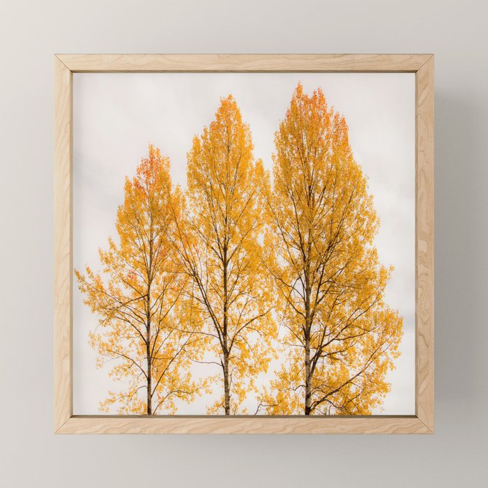 Aspen Trees #decor #society6 #buyart Mini Art Print Gallery Image 1