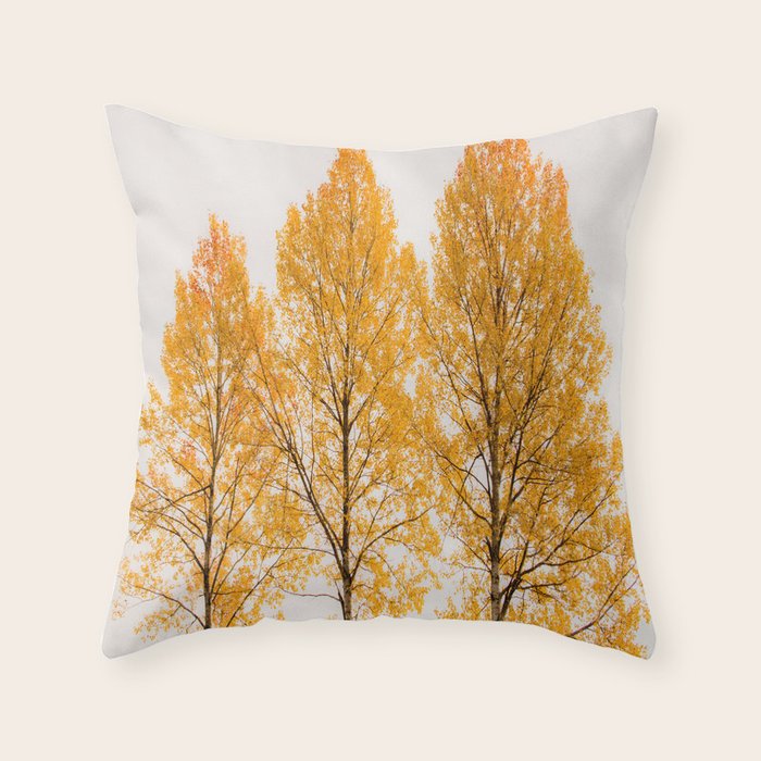 Aspen Trees #decor #society6 #buyart Throw Pillow Gallery Image 6