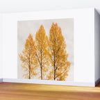 Aspen Trees #decor #society6 #buyart Wall Mural Gallery Image 2