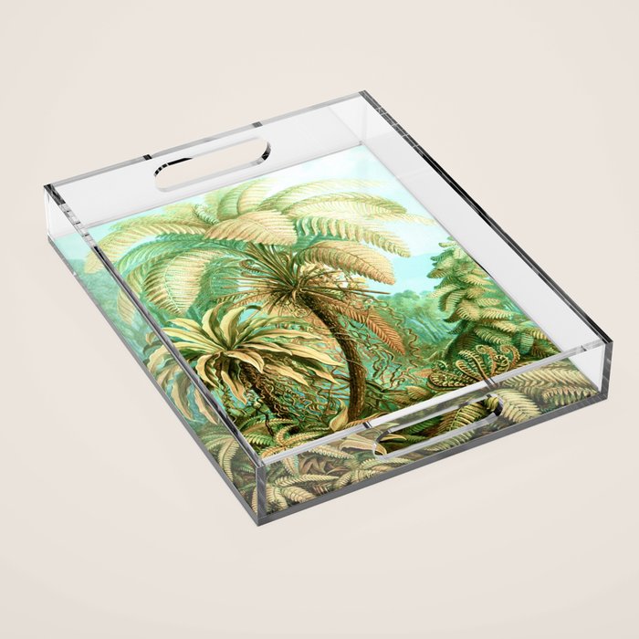 Vintage Tropical | Jungle Botanical Nature Banana Tree | Bohemian Plants Trees Forest Acrylic Tray Gallery Image 1
