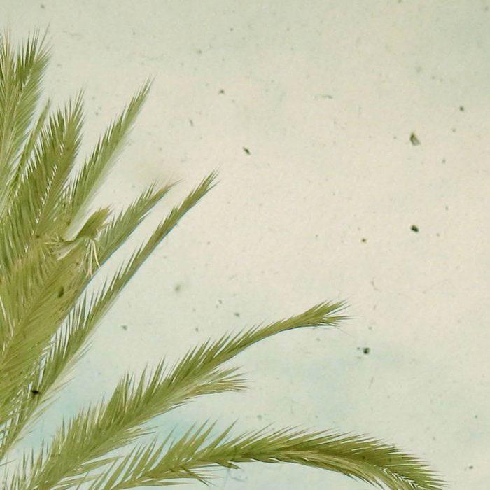 Palm Trees Coffee Mug Gallery Image 2