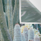 Cactus Garden #4 - Boho Botanical Wall Tapestry Gallery Image 3