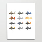 Pleco! - white Notebook Gallery Image 4