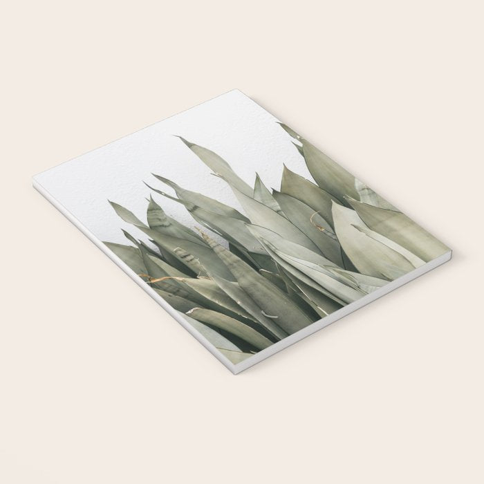 Moonshine Snake Plant Notebook Gallery Image 3