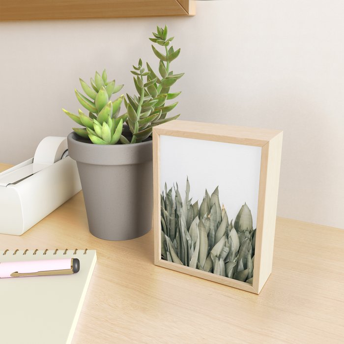 Moonshine Snake Plant Mini Art Print Gallery Image 2