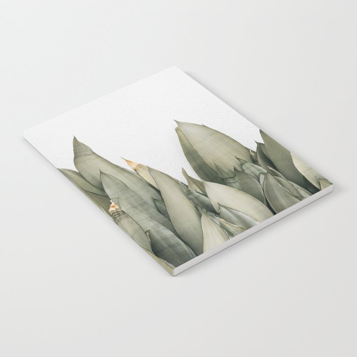 Moonshine Snake Plant Notebook Gallery Image 2