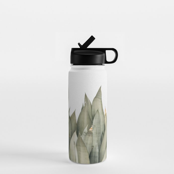 Moonshine Snake Plant Water Bottle Gallery Image 1