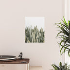 Moonshine Snake Plant Poster Gallery Image 2