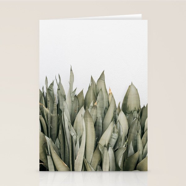 Moonshine Snake Plant Stationery Card Gallery Image 2