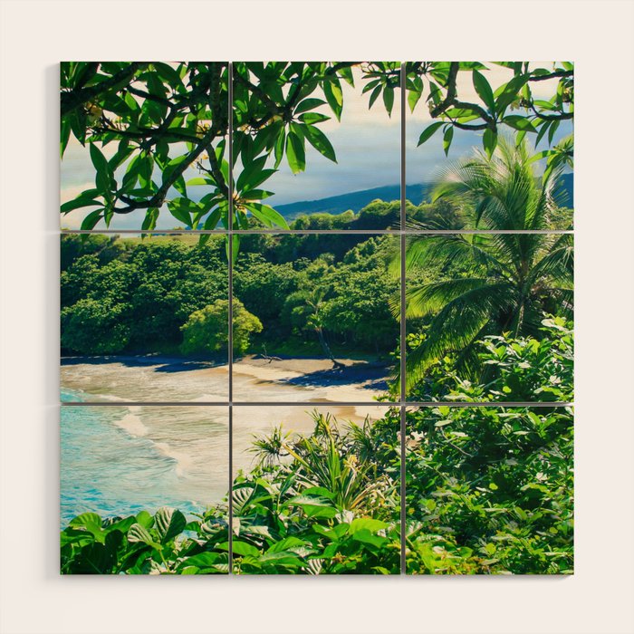 Hamoa Beach Hana Maui Hawaii Wood Wall Art Gallery Image 1