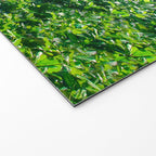 Hamoa Beach Hana Maui Hawaii Welcome Mat Gallery Image 2