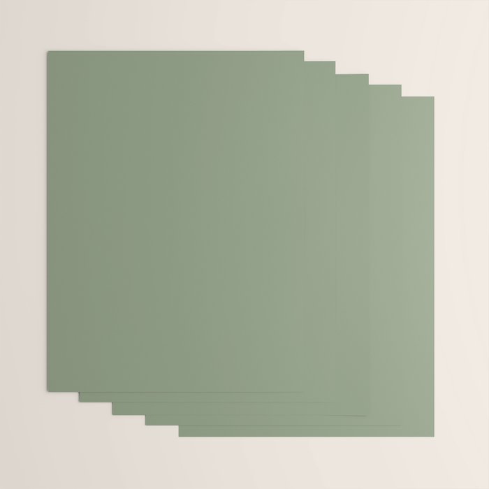 LAUREL TREE SOLID COLOR Plain Muted Green Shade Wrapping Paper Gallery Image 3