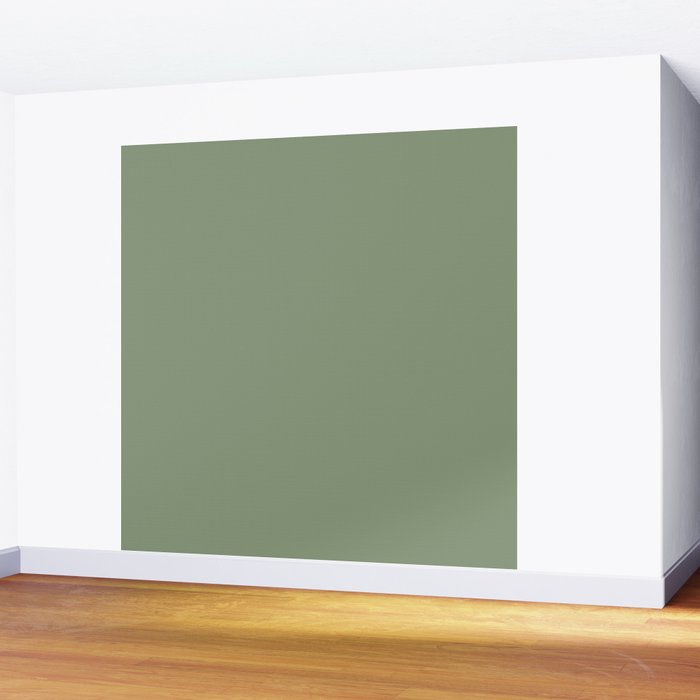 LAUREL TREE SOLID COLOR Plain Muted Green Shade Wall Mural Gallery Image 2
