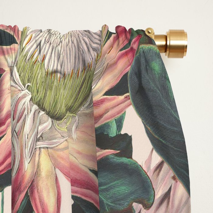Vintage Garden XVI Window Curtain Gallery Image 2