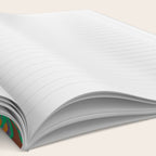 Evening book reader Notebook Gallery Image 2
