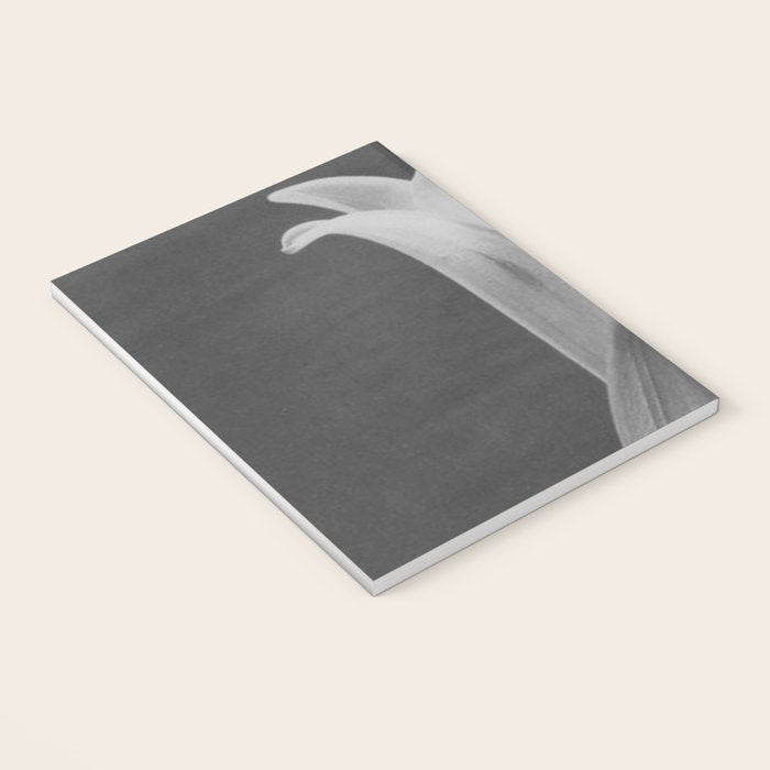 Tulip Blossoms floral black and white photography / photograph Notebook Gallery Image 3