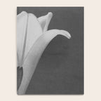 Tulip Blossoms floral black and white photography / photograph Notebook Gallery Image 4