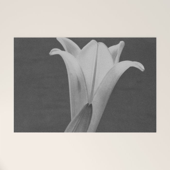 Tulip Blossoms floral black and white photography / photograph Welcome Mat Gallery Image 1