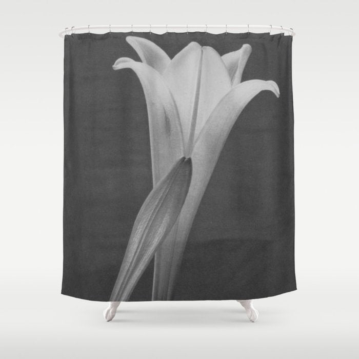 Tulip Blossoms floral black and white photography / photograph Shower Curtain Gallery Image 1