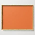Boca Solid Shades - Apricot Serving Tray Gallery Image 1