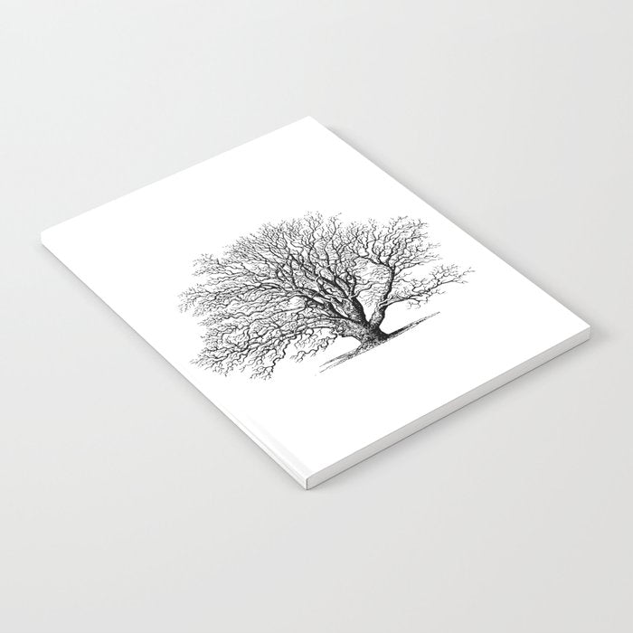 oak tree botanical no2 Notebook Gallery Image 2